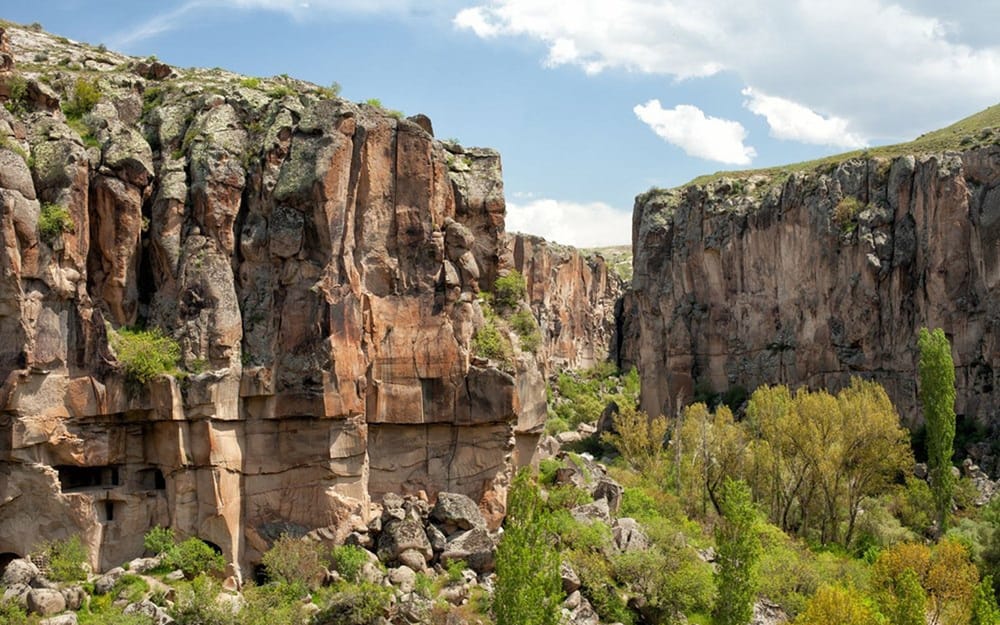 Green trees along the floor of Ihlara Valley beneath steep cliffs